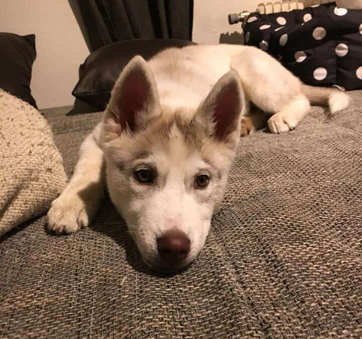 Zoe