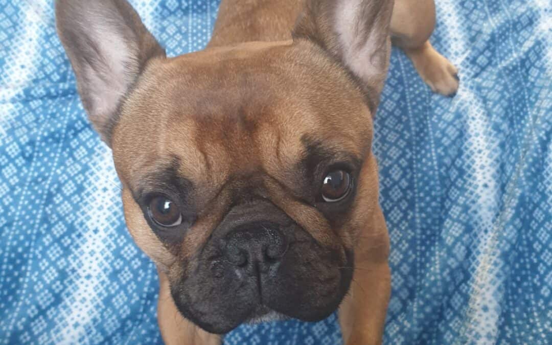 Chloe