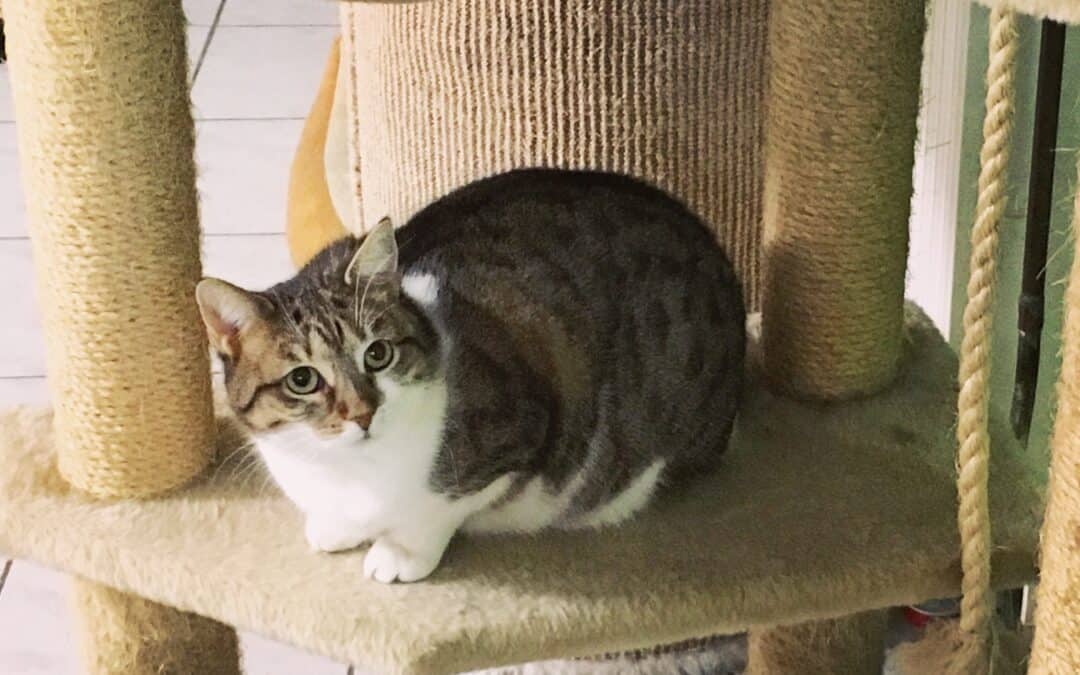 Bernadette