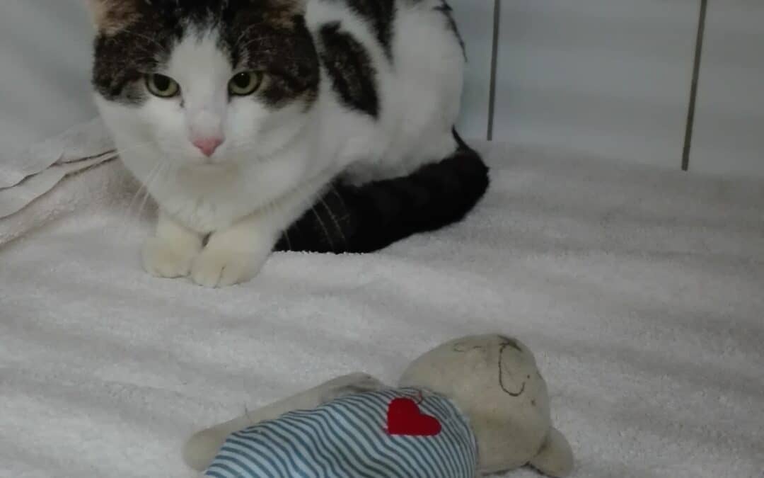 Filippo