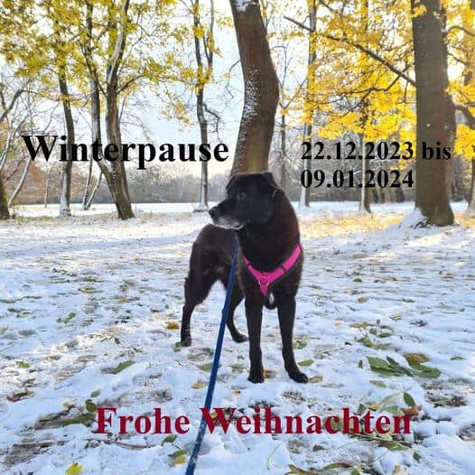 Winterpause