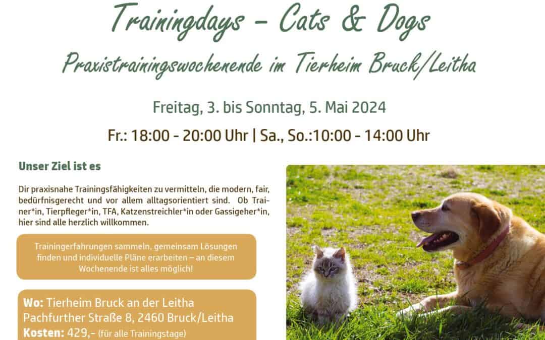 Trainingdays – Cats & Dogs