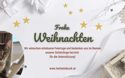 Frohe Weihnachten