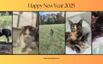 Happy New Year 2025