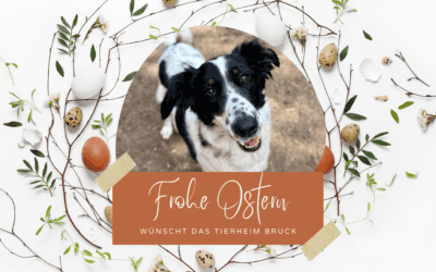 Frohe Ostern
