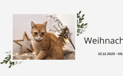 Weihnachtspause von 22.12.2025 bis 09.01.2026