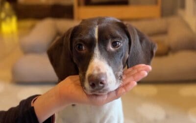 Update zu den Training Days mit Nadine Hehli & Simone Fasel