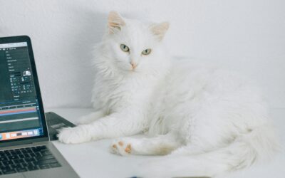 Anmeldung Training Days mit Nadine Hehli & Simone Fasel